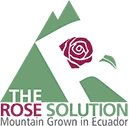The Rose Solution